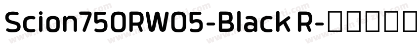 Scion750RW05-Black R字体转换